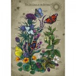 Puzzle  Ravensburger-01435 Der Lebenskreis des Schmetterlings