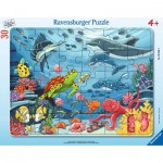  Ravensburger-05566 Rahmenpuzzle - Under the Sea