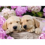 Puzzle  Ravensburger-13235 Süße Hunde im Körbchen