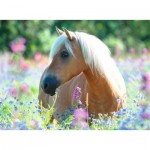 Puzzle  Ravensburger-13294 XXL Teile - Horse in the Field