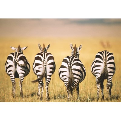  Ravensburger-13312 Puzzle Mmoment - Zebra