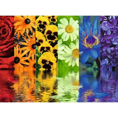 Puzzle  Ravensburger-16446 Blumenreflexionen