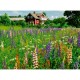 Bauernhof in Schweden (Puzzle Highlight, Scandinavian)