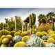 Der Huntington Desert Garden, Kalifornien, USA