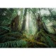 Nature Edition - Im Wald