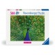 Peacock - Highlight Puzzle - Bunte Tiere