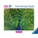 Peacock - Highlight Puzzle - Bunte Tiere