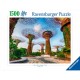 Singapore Bay Garden