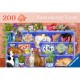 Wellness & Puzzle - Katzen im Regal