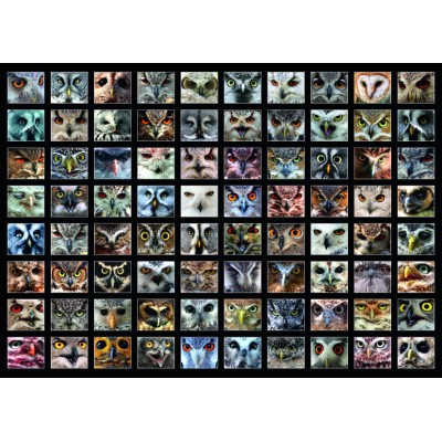 Puzzle Roovi-74331 Collage - Eulen