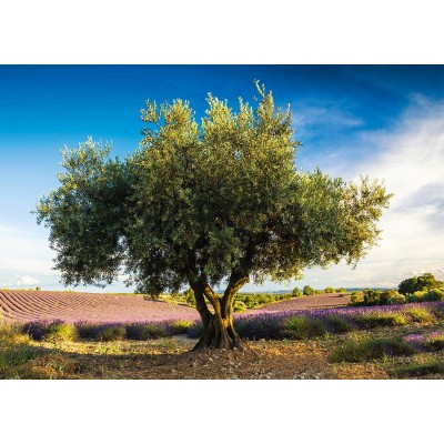 Puzzle Schmidt-Spiele-58357 Olivenbaum in der Provence