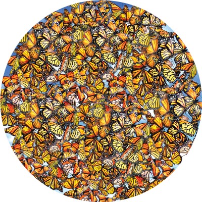 Puzzle  Sunsout-35047 Lori Schory - Monarch Frenzy