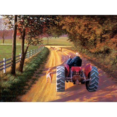 Puzzle  Sunsout-50161 Lambson's Wildlife Art - A Ride Down Memory Lane