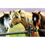 Puzzle  Sunsout-70922 Cynthie Fisher - Horse Fence