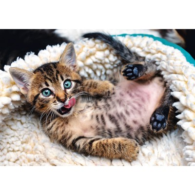 Puzzle  Trefl-10448 Cheerful Kitten
