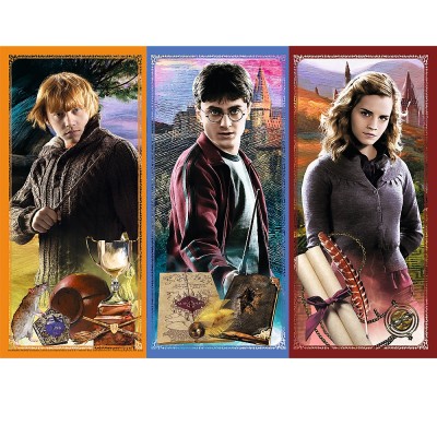 Puzzle  Trefl-13277 Harry Potter