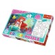 Color Puzzle - Disney Princess