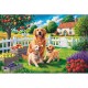Easy Piece - Hunde Auf Dem Land