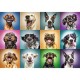 Funny Dog Portraits