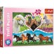 Horses