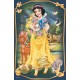 Mini Puzzle - Beautiful Princesses - Disney Princess