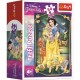 Mini Puzzle - Beautiful Princesses - Disney Princess