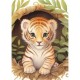 Cute Tiger